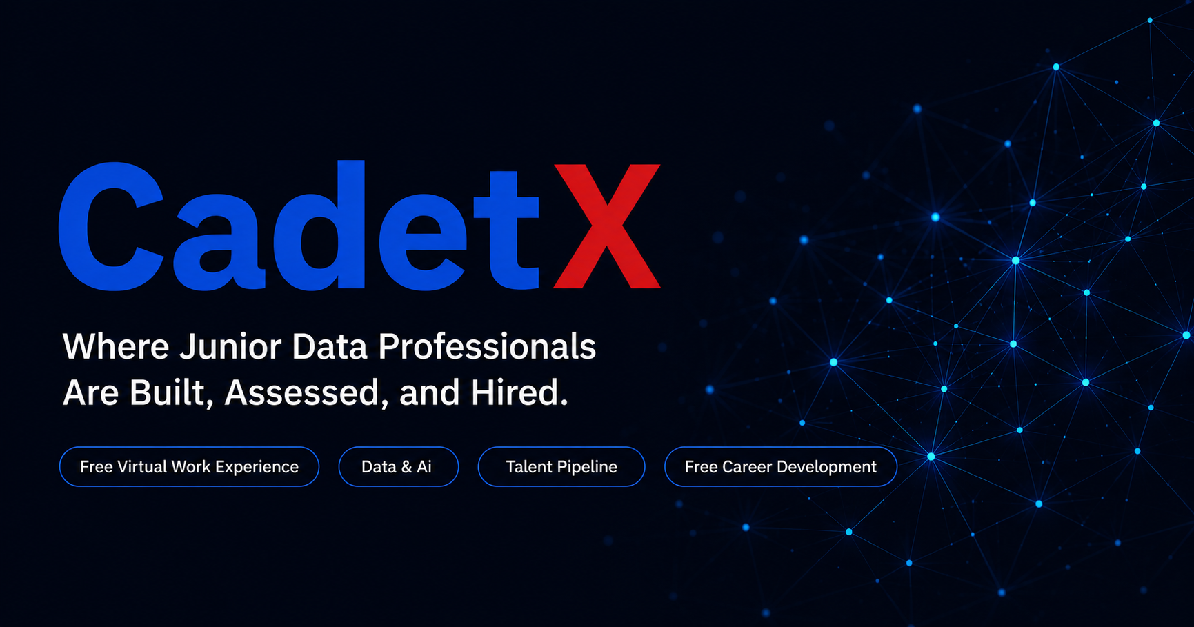 CadetX | Free Virtual Work Experience & Data and AI Courses